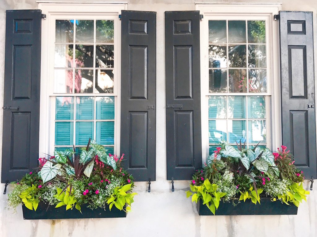 Window Boxes, Charleston, Charming Cities, Best US Cities, Best Cities, Popular Cities, Charleston Landmark, South Carolina, Things to Do in Charleston, Charleston Activities, Charleston Sites, Historic Charleston, Southern Charm, Charleston Window Boxes, Charleston Charm